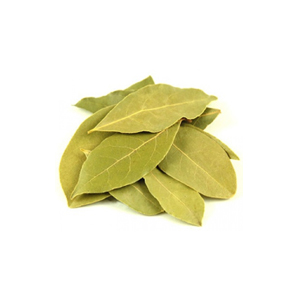 Bay-Leaves-and-Other-Leaves