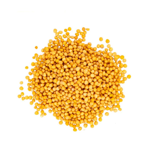 Mustard-Seeds-and-Powder